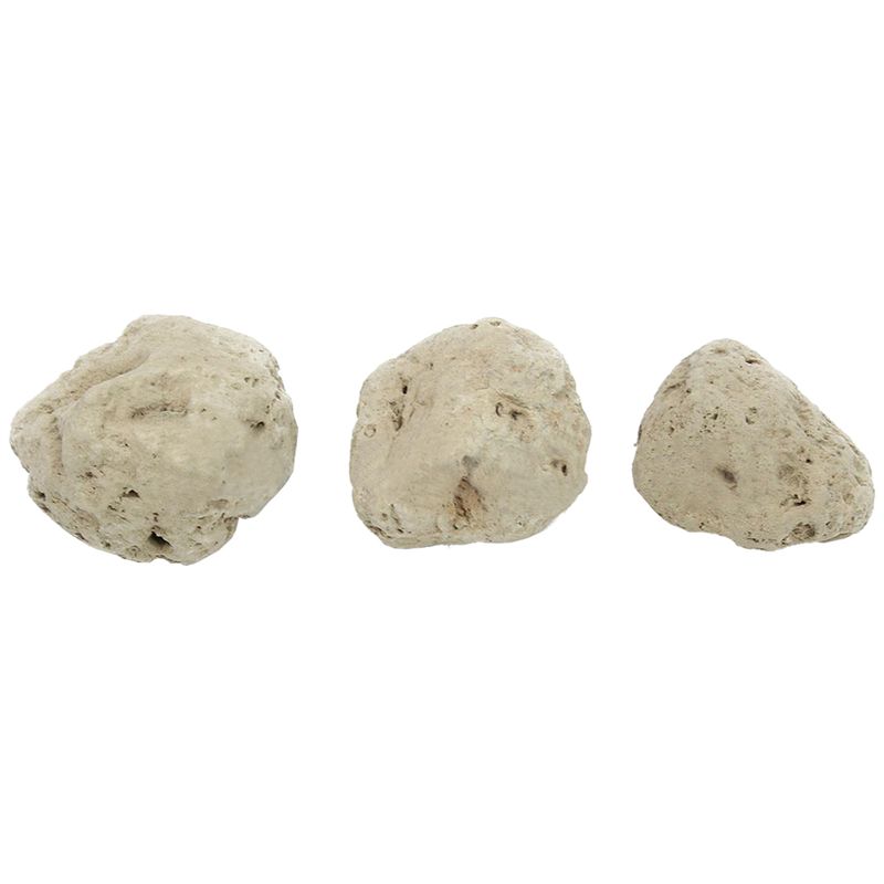 12Pcs Floating Real Rocks Aqua - Planted Aquarium Models のレビューと価格