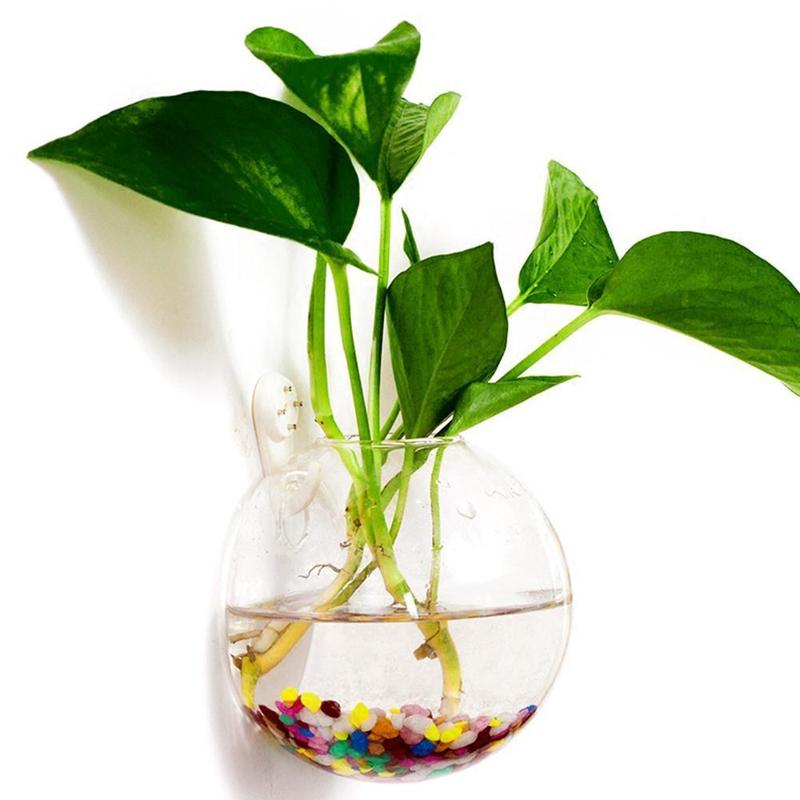 Creative Wall Mounted Glass Va - Aquarium Plant Vine のレビューと価格