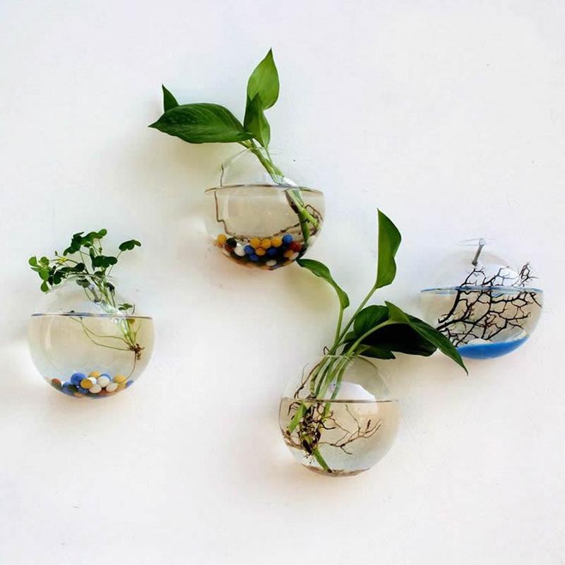 Creative Wall Mounted Glass Va - Aquarium Plant Vine のレビューと価格