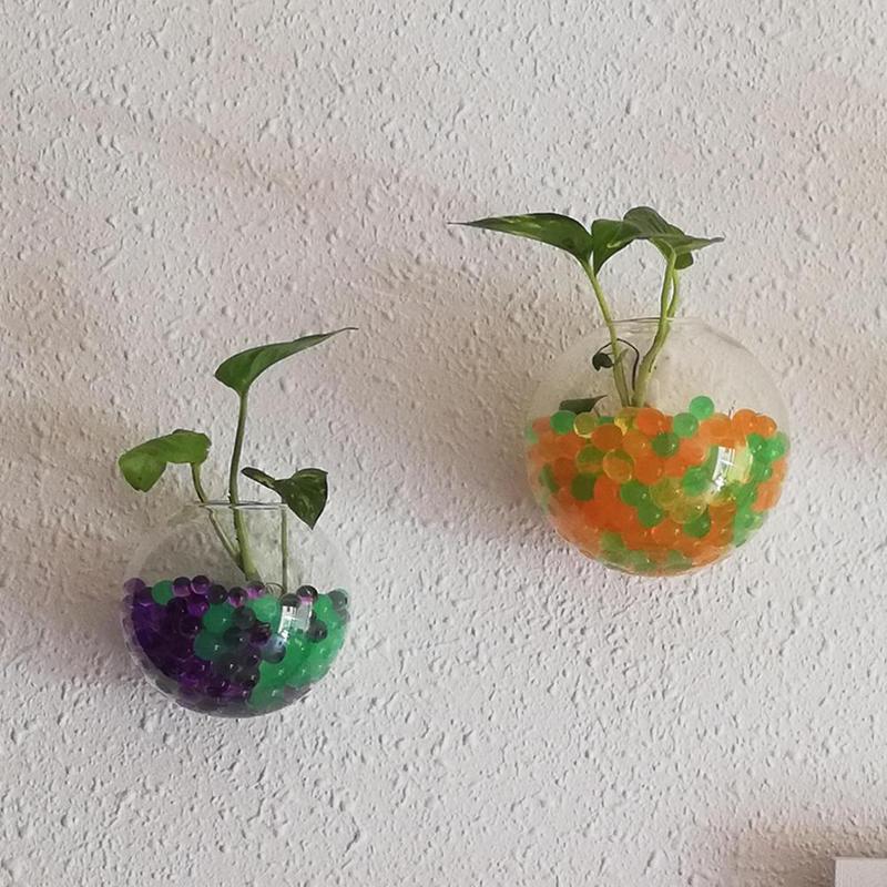 Creative Wall Mounted Glass Va - Aquarium Plant Vine のレビューと価格