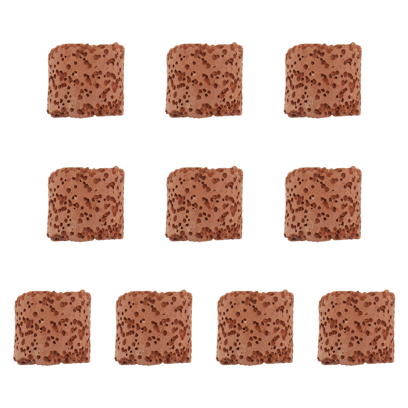10Pcs Creative Water Plant Fix - Aquarium Planted Set Up のレビューと価格