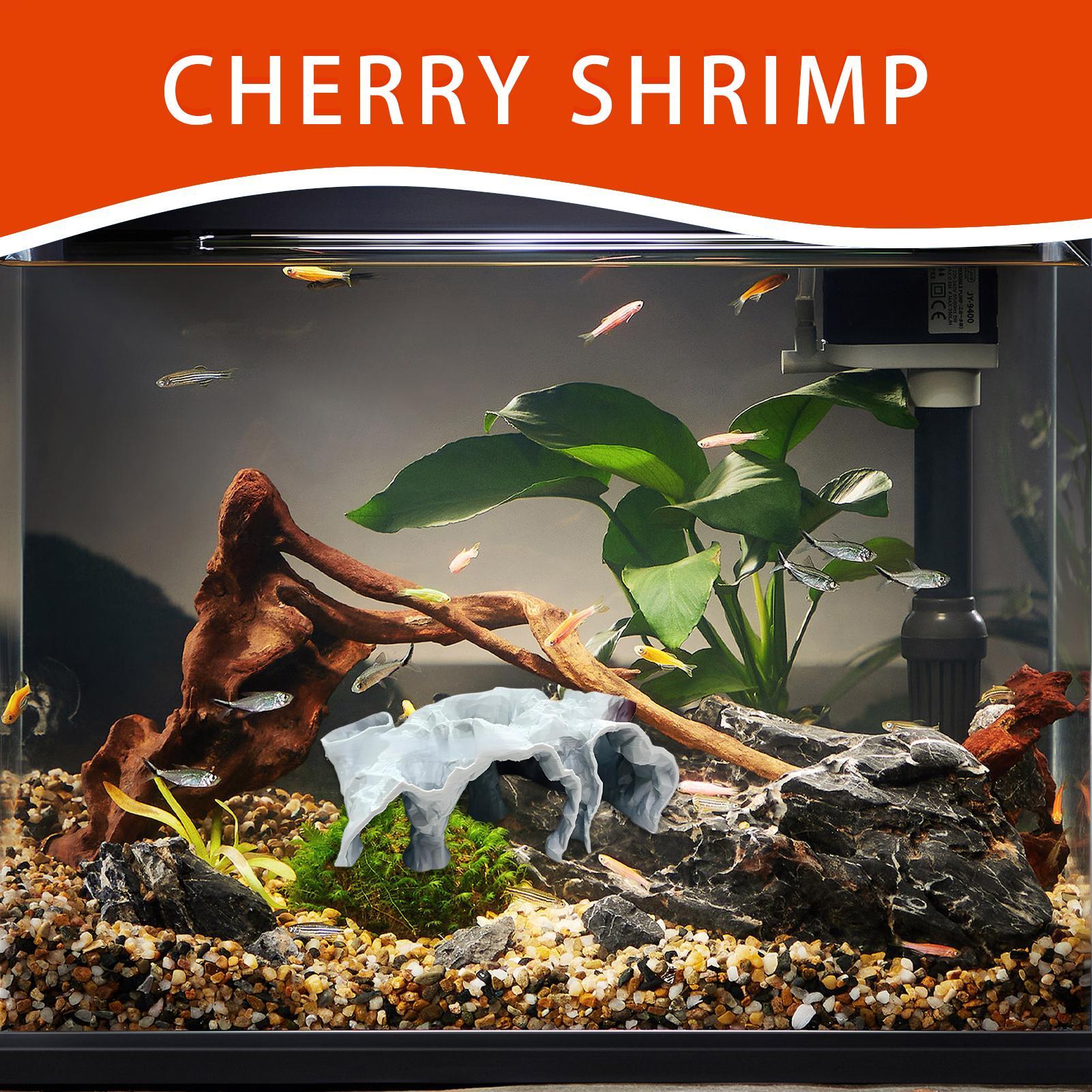 Fish Tank Cave Aquarium Underg - Planted Aquarium For Betta のレビューと価格