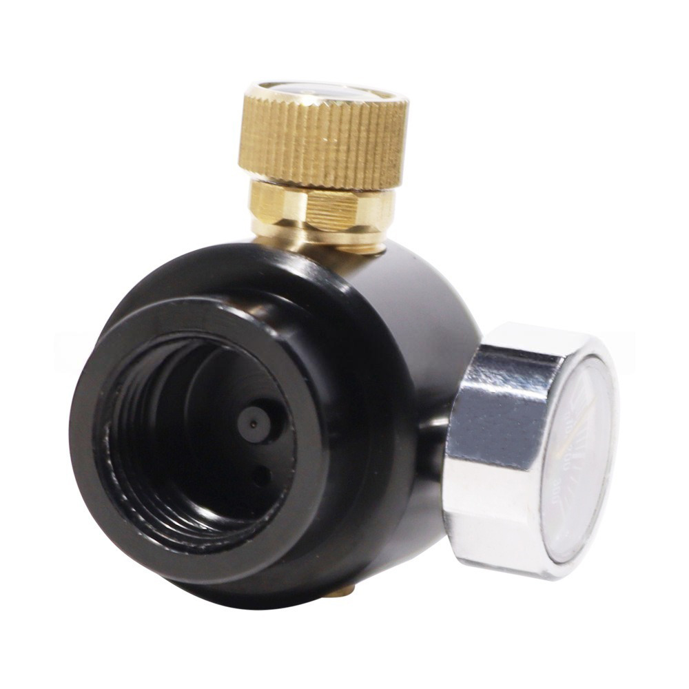 Pressure Regulator for Carbon  - Aquarium Planted Set Up のレビューと価格