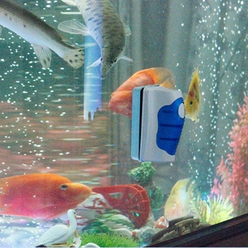 Fish Tank Glass Scraper Cleane - Planted Aquarium Products のレビューと価格