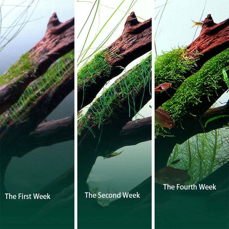 AQUA NEST 200m/roll Naturally  - Aquarium Planted Substrate のレビューと価格