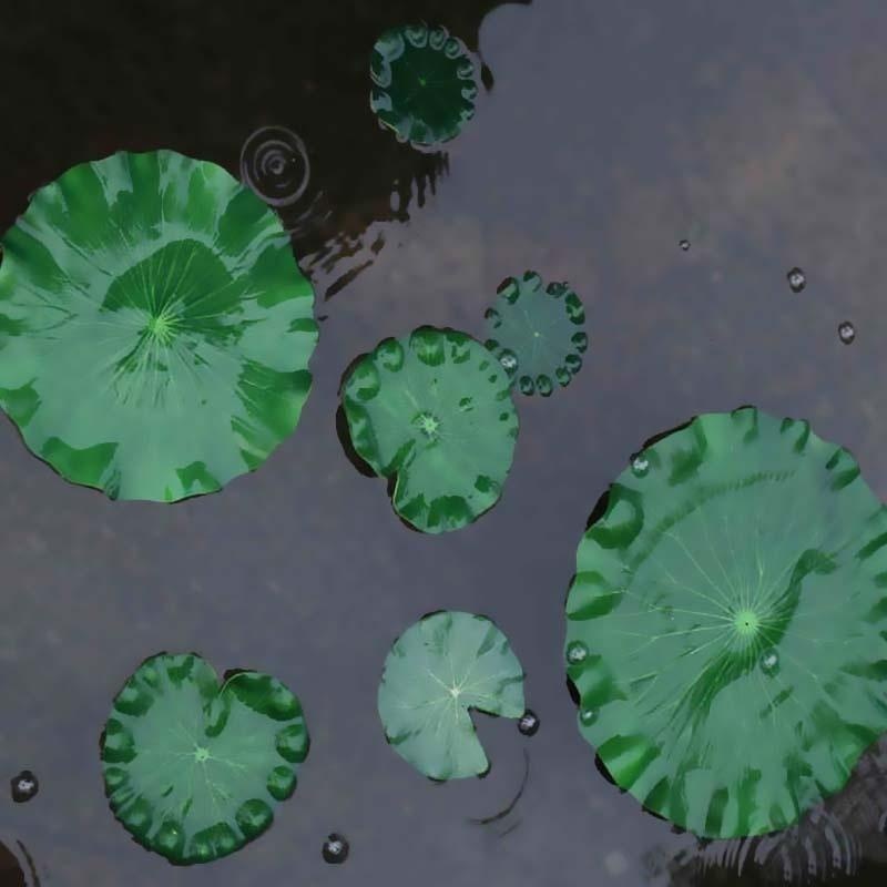 2026 Artificial Water Lily Lot - Aquarium Planted Substrate のレビューと価格