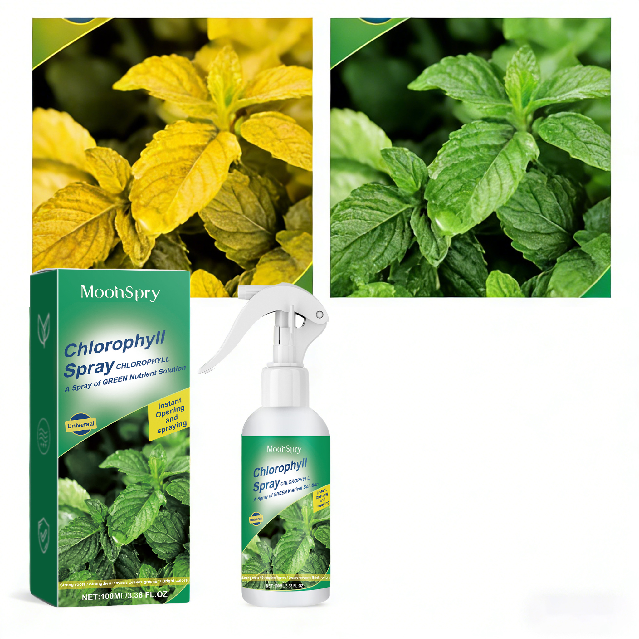 Moonspry Plant Chlorophyll Fol - Liquid Fertilizer All In のレビューと価格