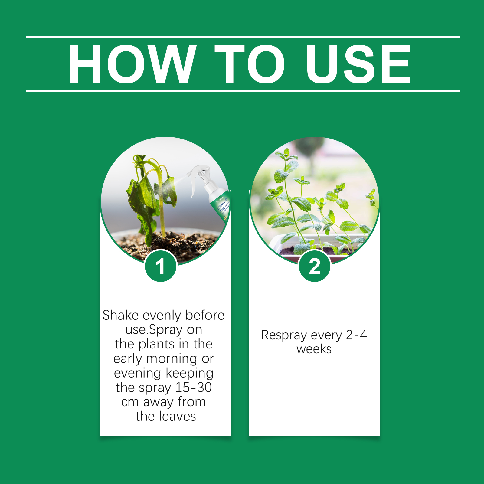 Moonspry Plant Chlorophyll Fol - Liquid Fertilizer All In のレビューと価格