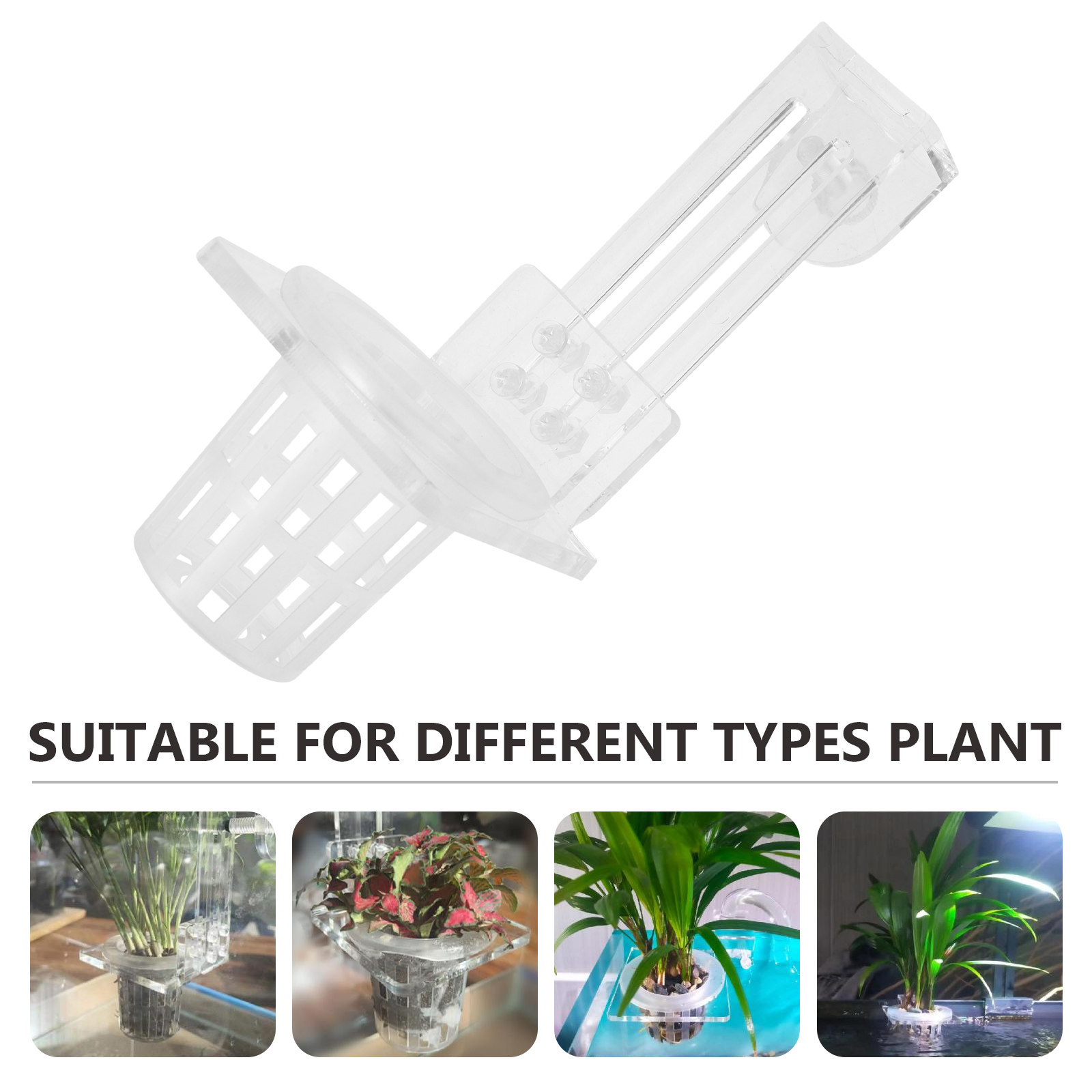 Aquarium Plant Holder Hanging  - Aquarium Planted Set Up のレビューと価格