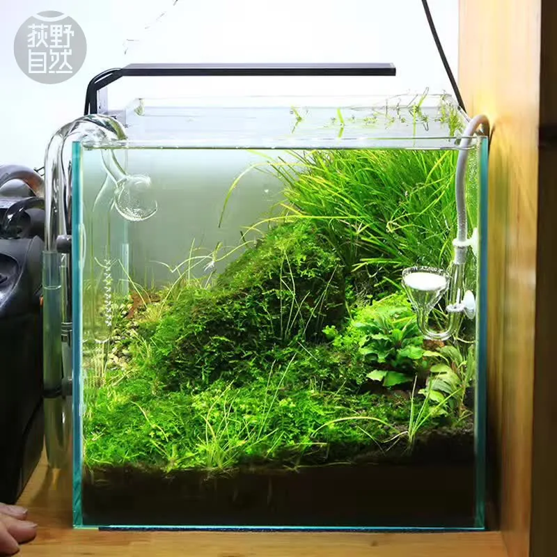 Chihiros C Series ADA Style Pl - Planted Aquarium Pendant Light のレビューと価格
