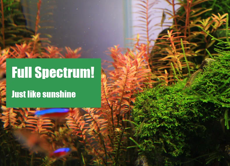 Chihiros C Series ADA Style Pl - Planted Aquarium Pendant Light のレビューと価格