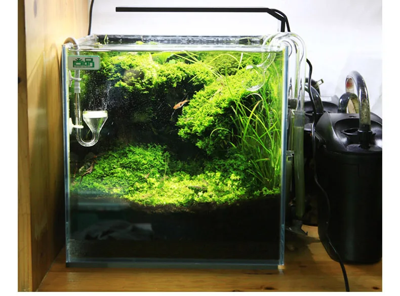 Chihiros C Series ADA Style Pl - Planted Aquarium Pendant Light のレビューと価格