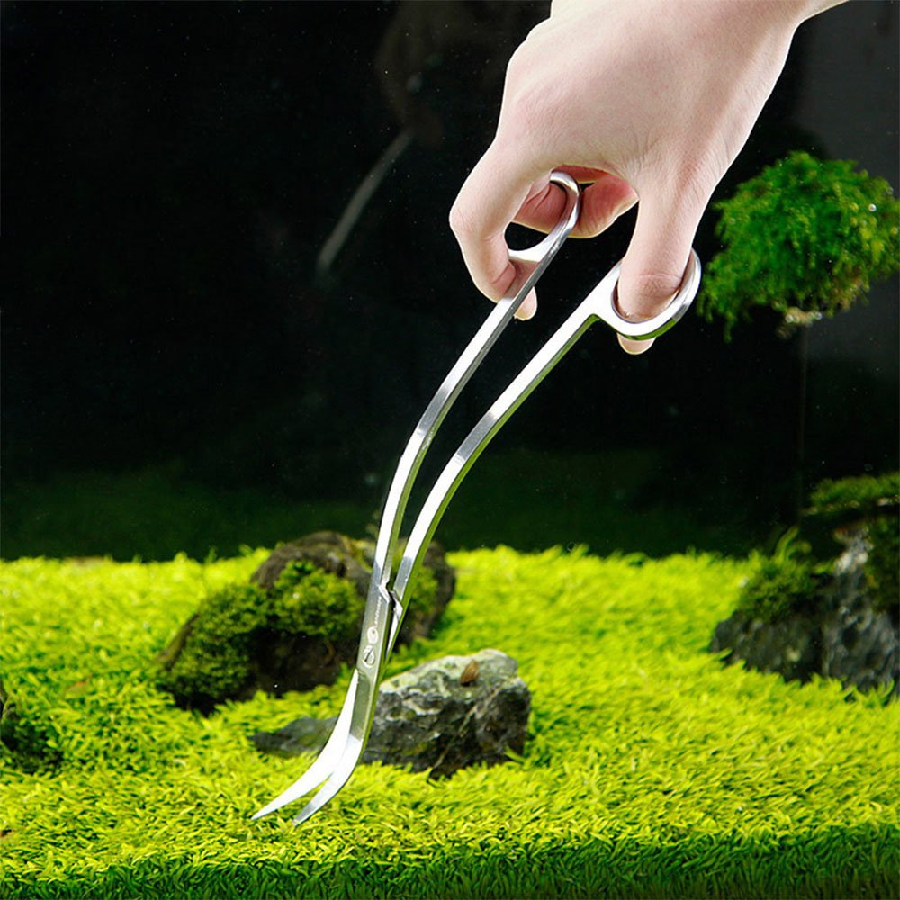 Aquarium Accessories Hard Stai - Planted Aquarium Products のレビューと価格