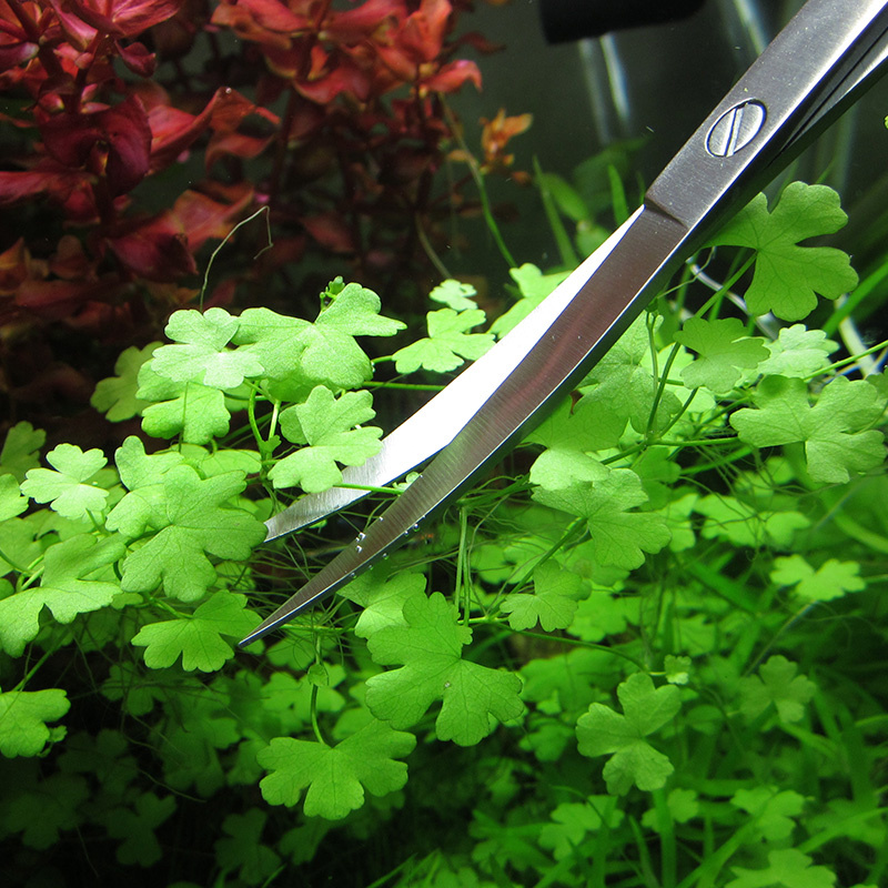 Aquarium Accessories Hard Stai - Planted Aquarium Products のレビューと価格