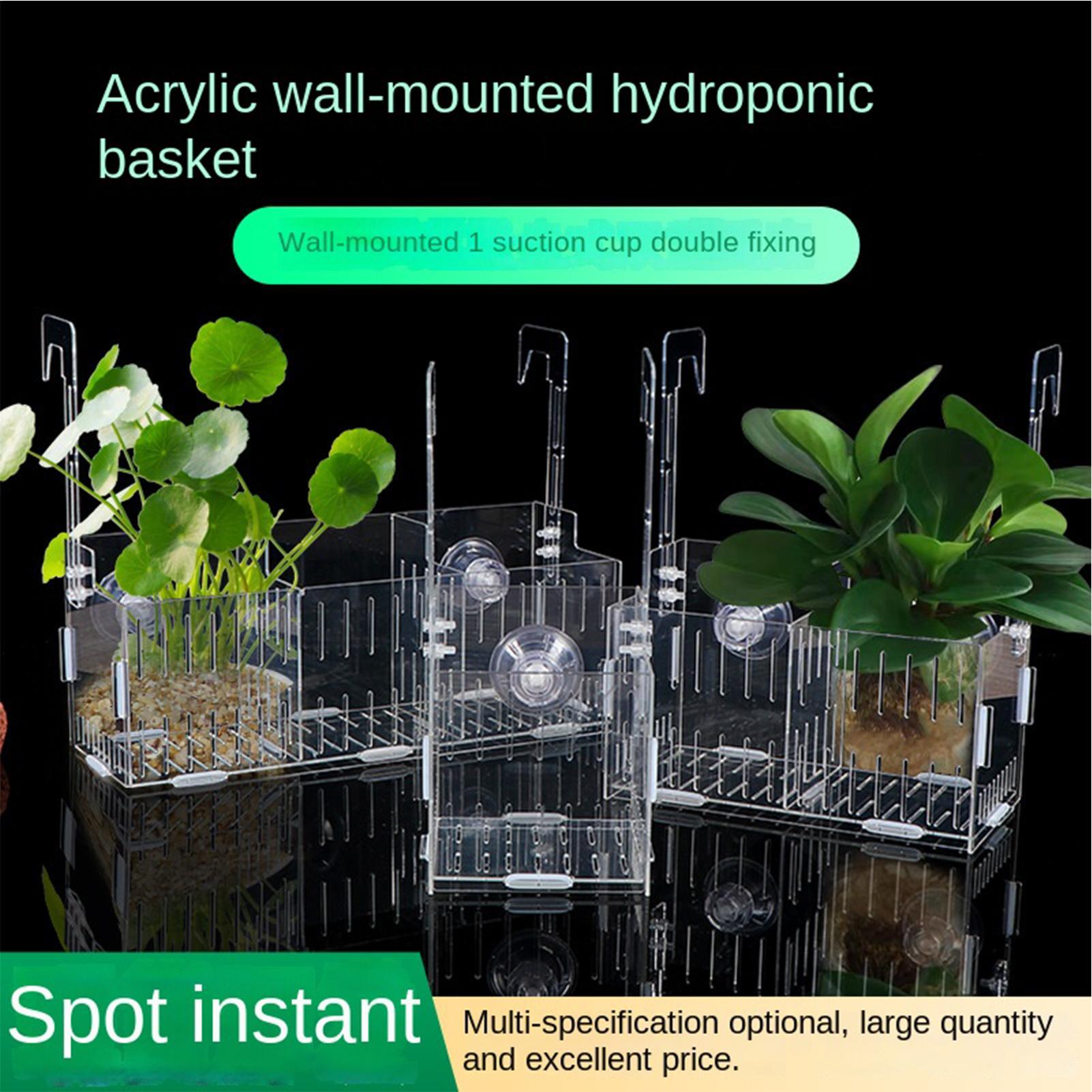 Acrylic Aquarium Plant Holder  - Aquarium Plant Vine のレビューと価格