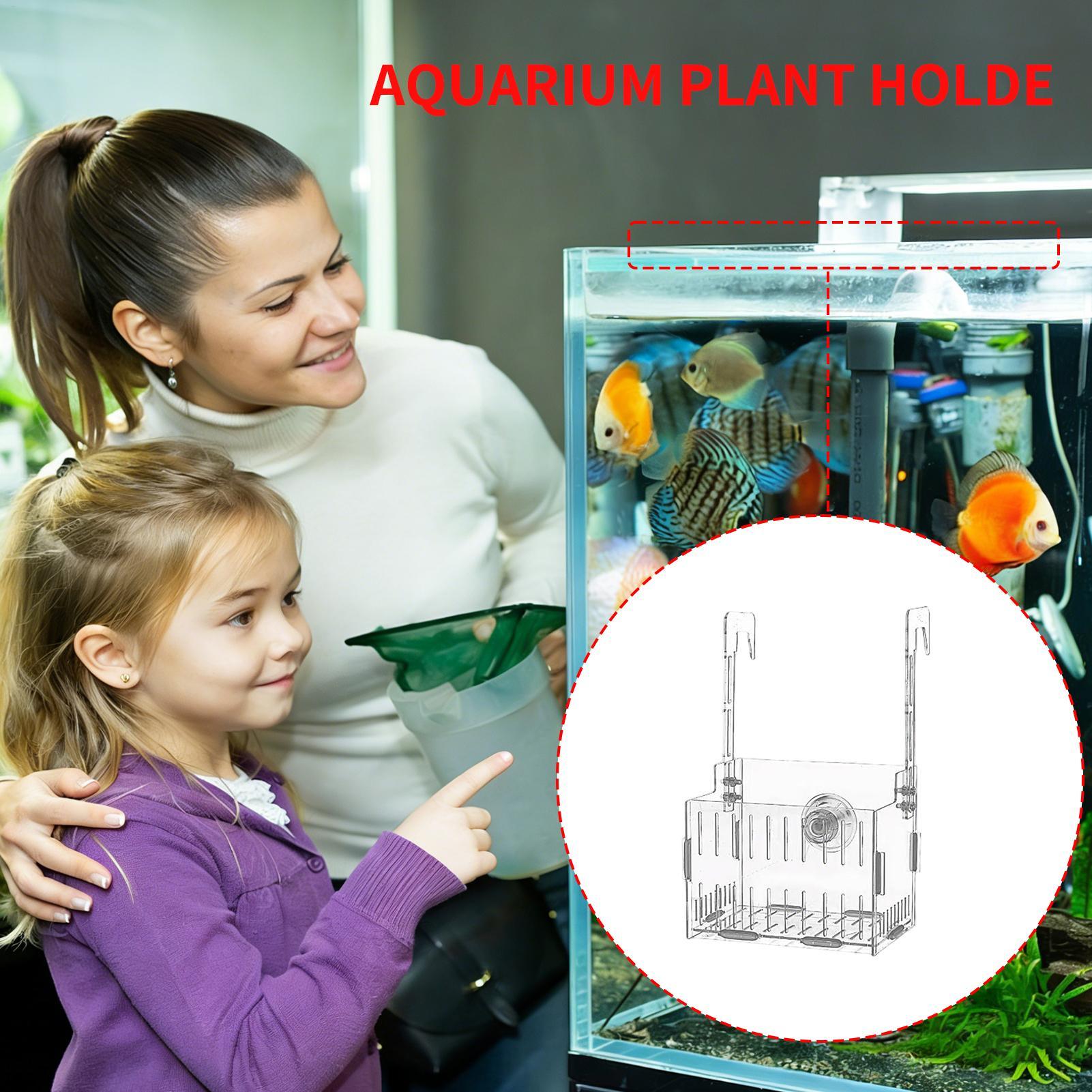 Acrylic Aquarium Plant Holder  - Aquarium Plant Vine のレビューと価格