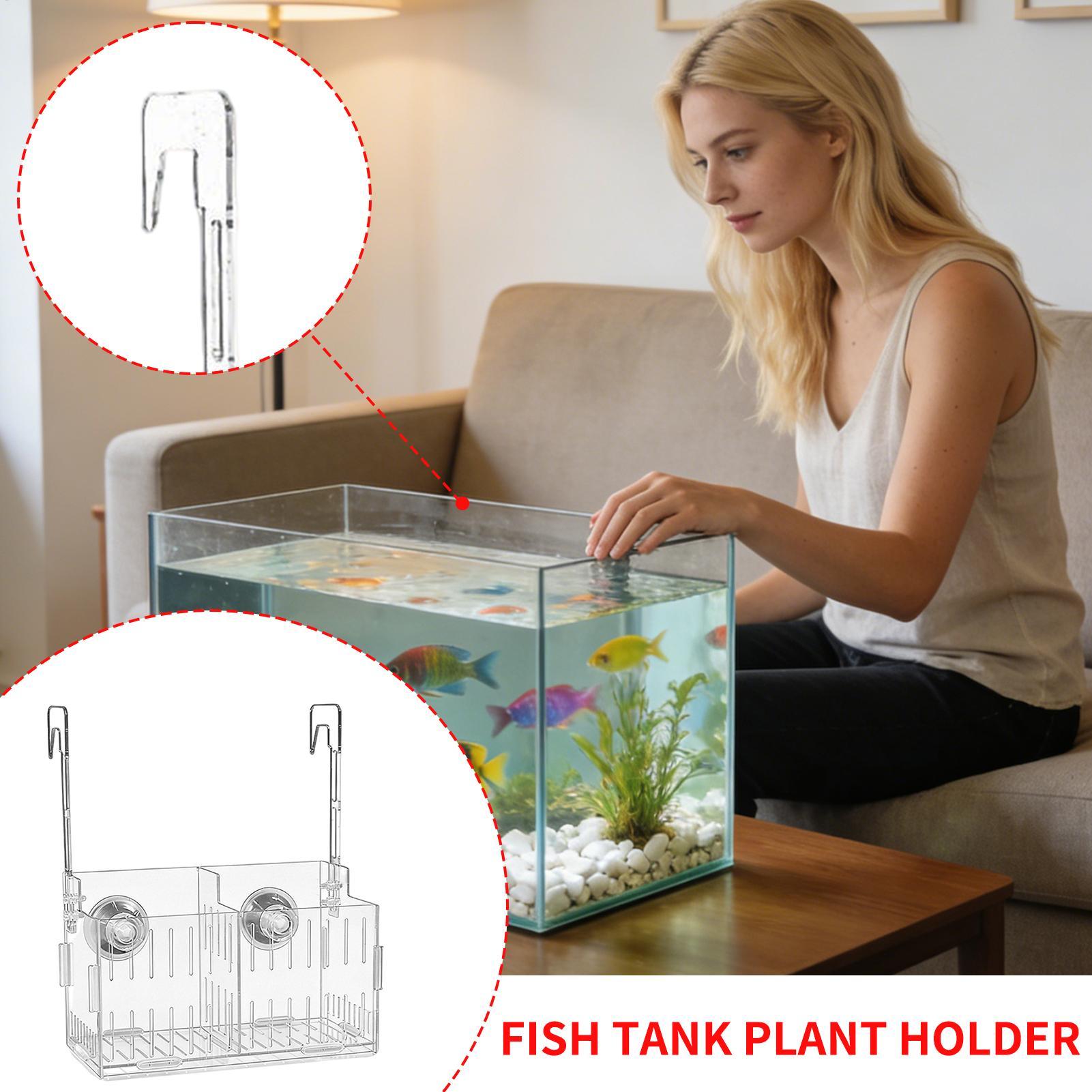 Acrylic Aquarium Plant Holder  - Aquarium Plant Vine のレビューと価格