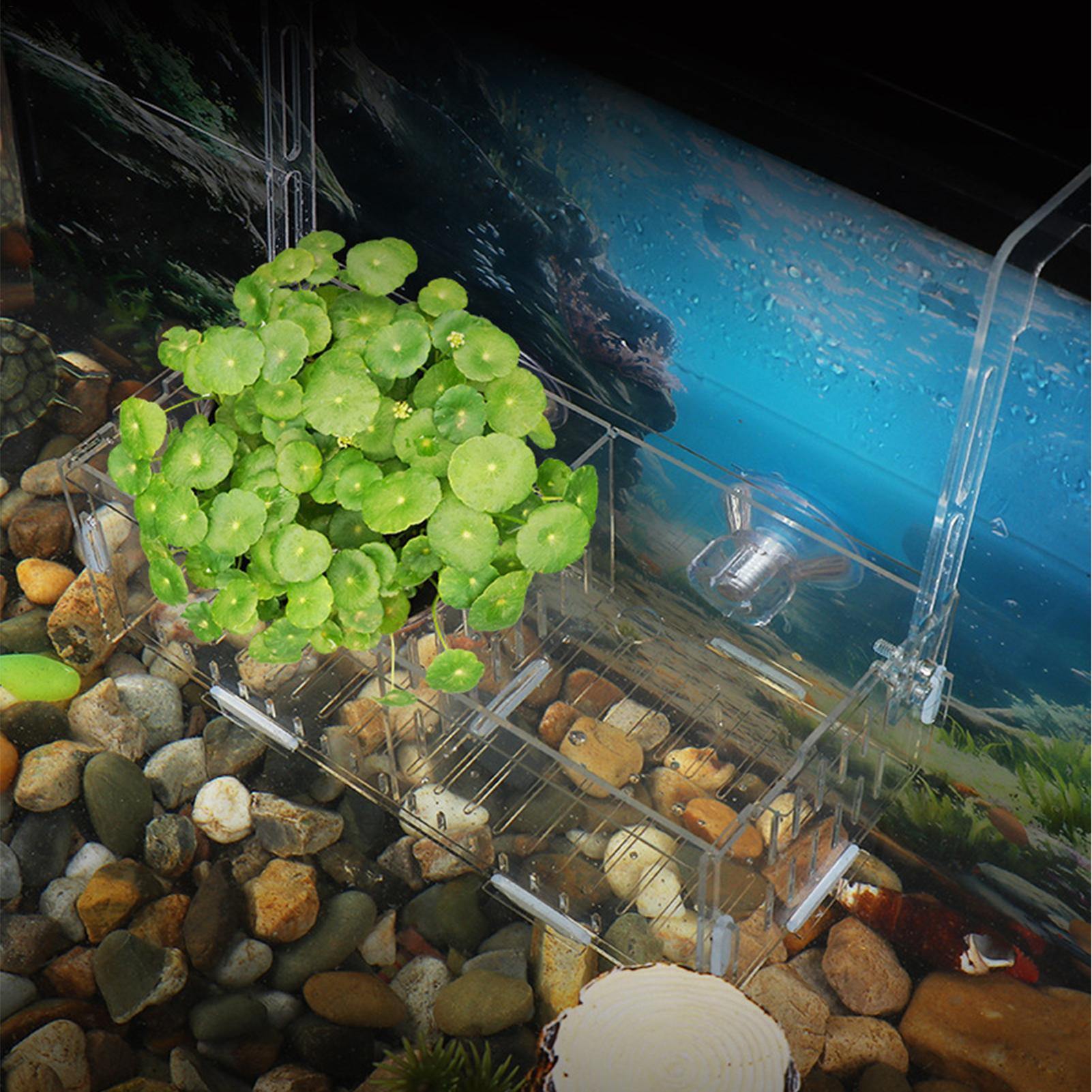 Acrylic Aquarium Plant Holder  - Aquarium Plant Vine のレビューと価格