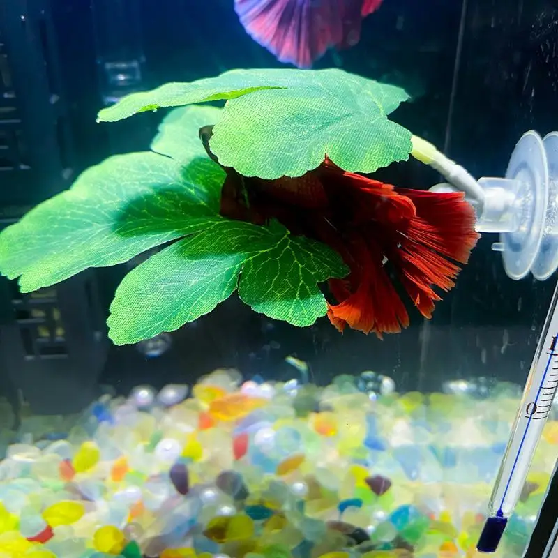 Betta Fish Leaf Hammock Aquari - Planted Aquarium For Betta のレビューと価格