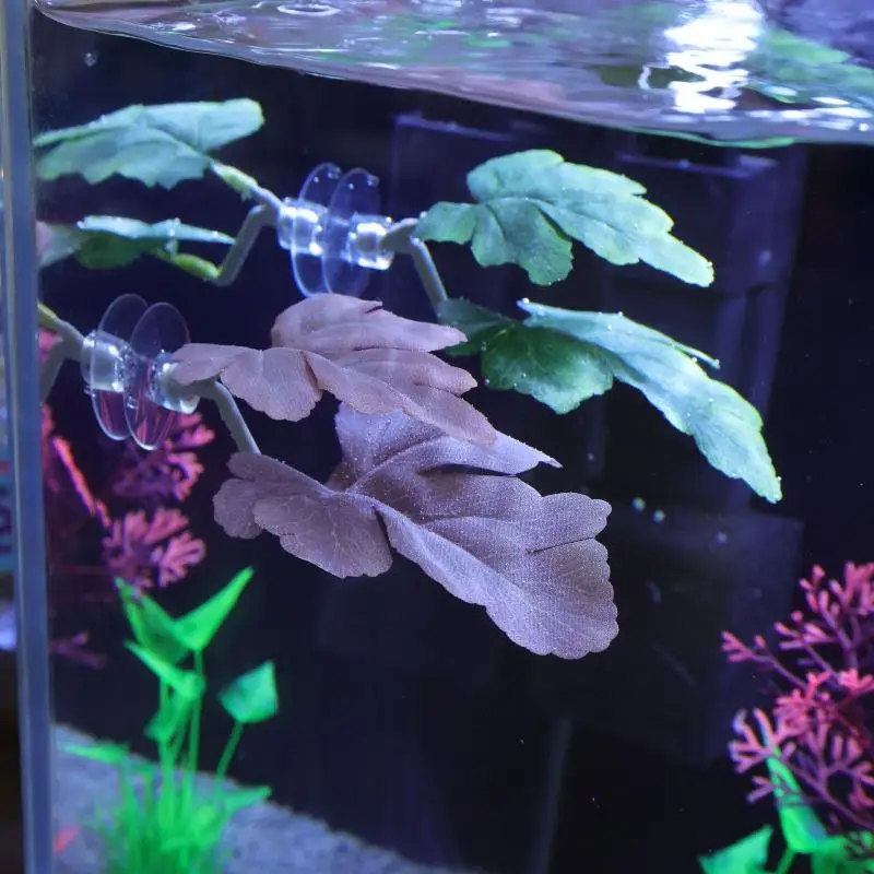 Betta Fish Leaf Hammock Aquari - Planted Aquarium For Betta のレビューと価格