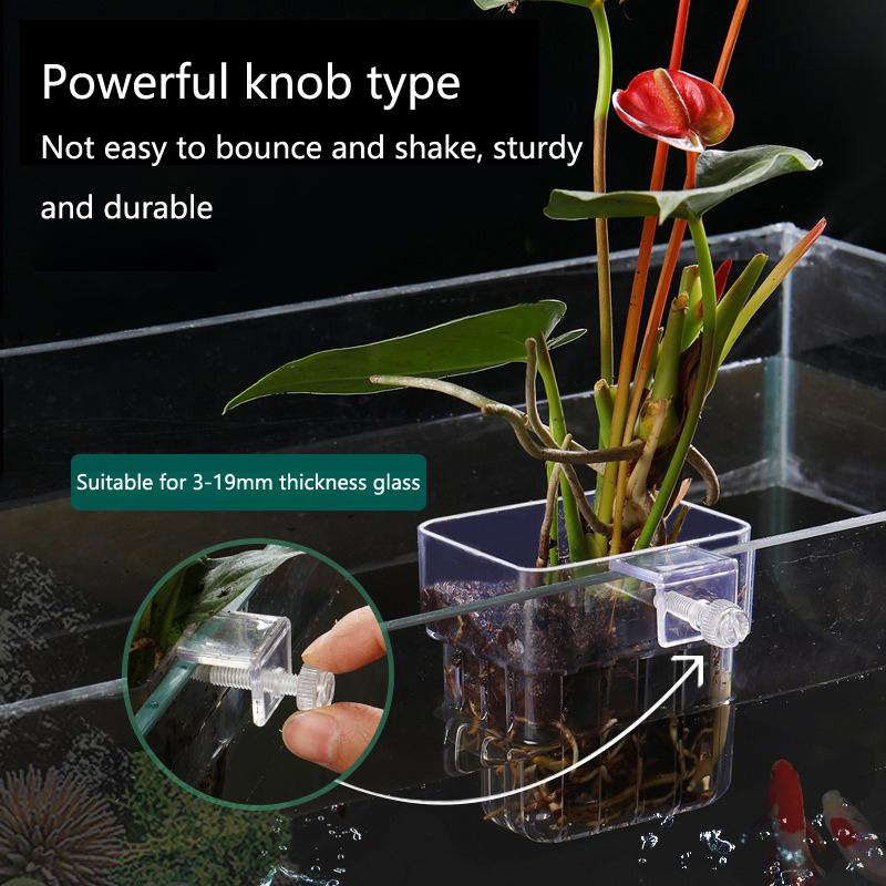 Aquarium Hydroponic Planting C - Aquarium Planted Set Up のレビューと価格