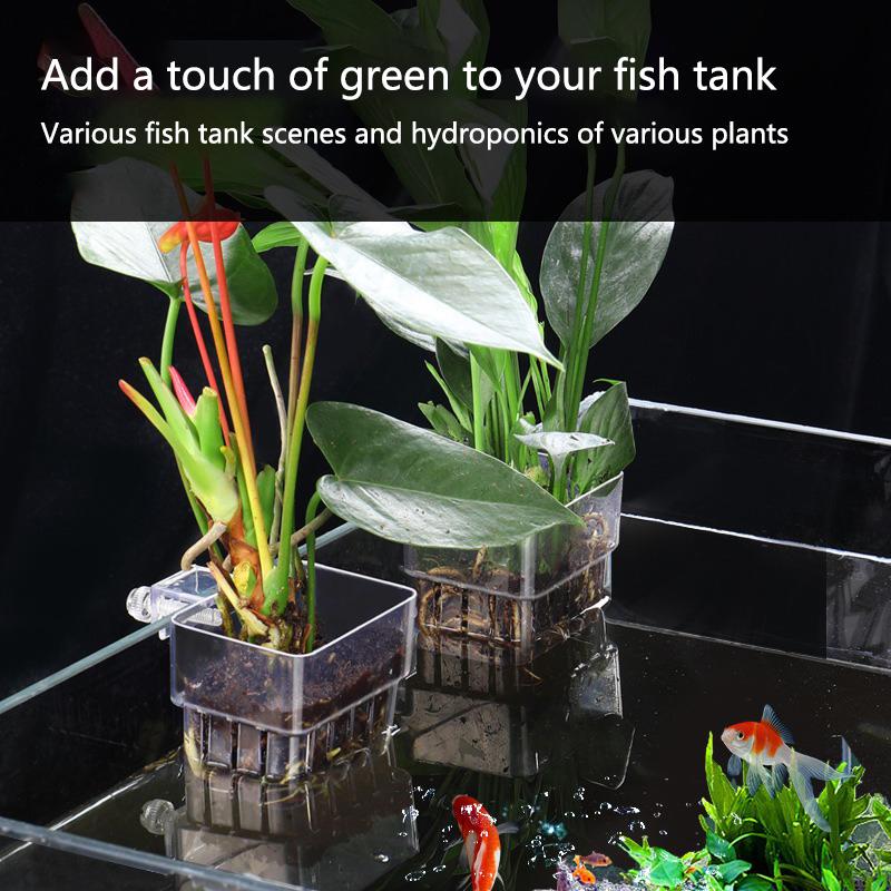 Aquarium Hydroponic Planting C - Aquarium Planted Set Up のレビューと価格