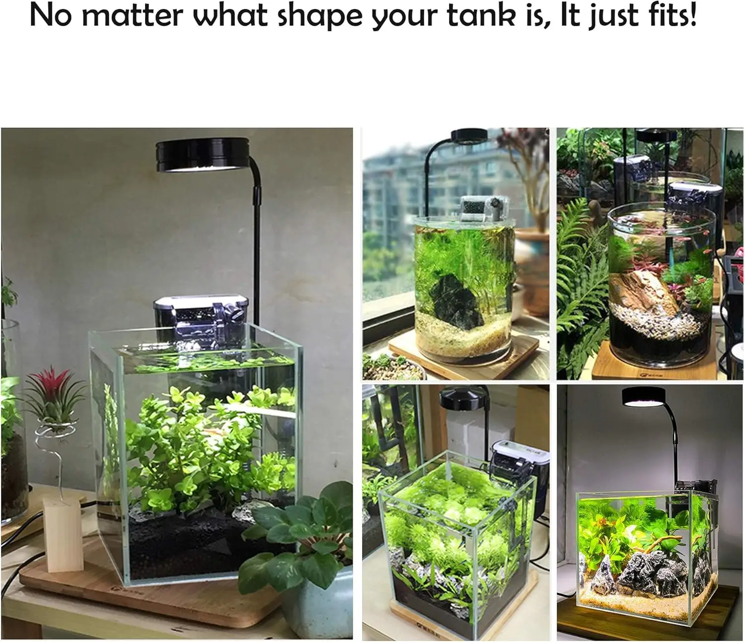 LED Aquarium Grow Light with B - Planted Aquarium For Betta のレビューと価格