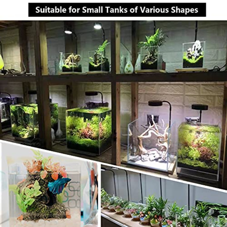 Aquarium Light Full Spectrum L - Planted Aquarium For Betta のレビューと価格