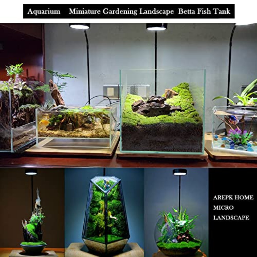 Aquarium Light Full Spectrum L - Planted Aquarium For Betta のレビューと価格