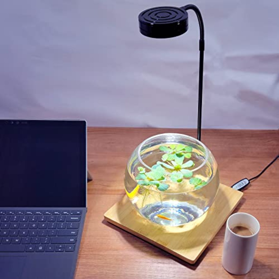 Aquarium Light Full Spectrum L - Planted Aquarium For Betta のレビューと価格