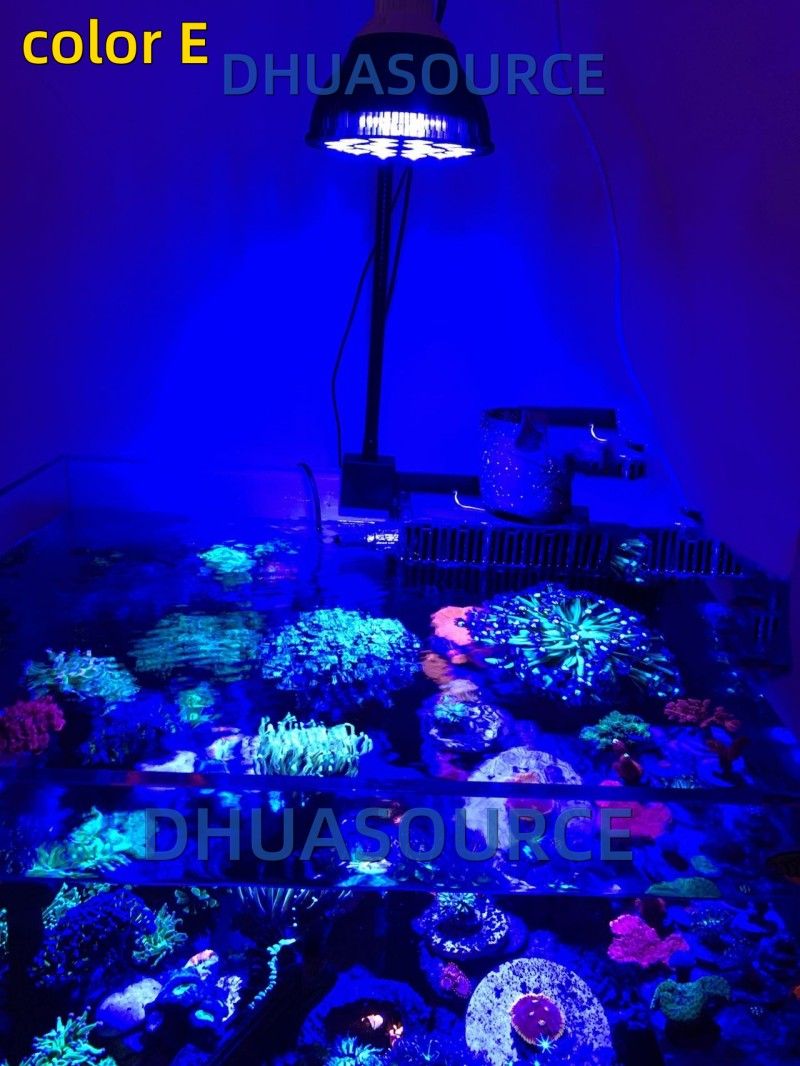 Free customize LED Aquarium li - Planted Aquarium Algae のレビューと価格