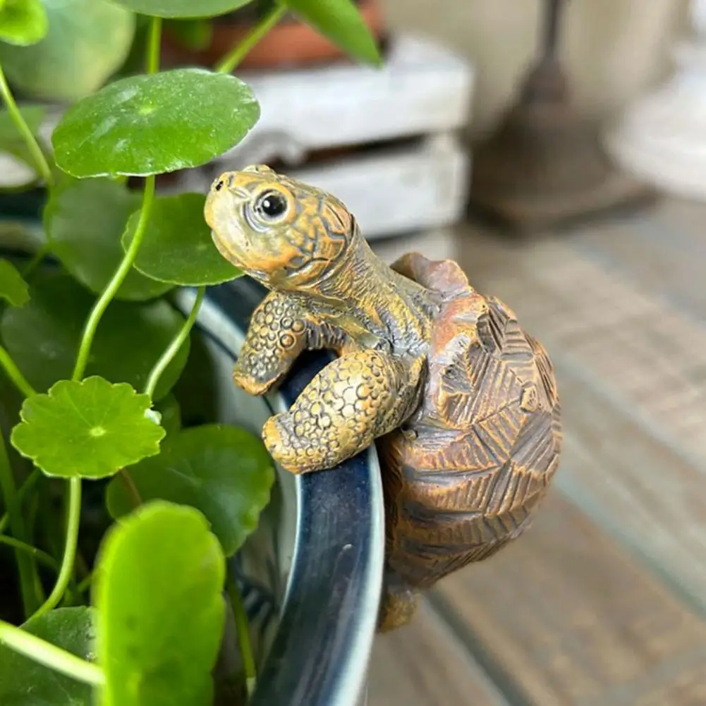 Fishing Turtle Hanging Turtle  - Aquarium Plants のレビューと価格
