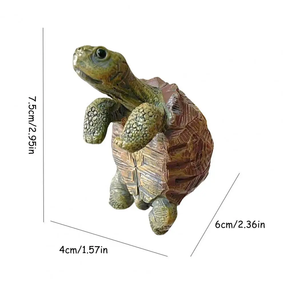 Fishing Turtle Hanging Turtle  - Aquarium Plants のレビューと価格