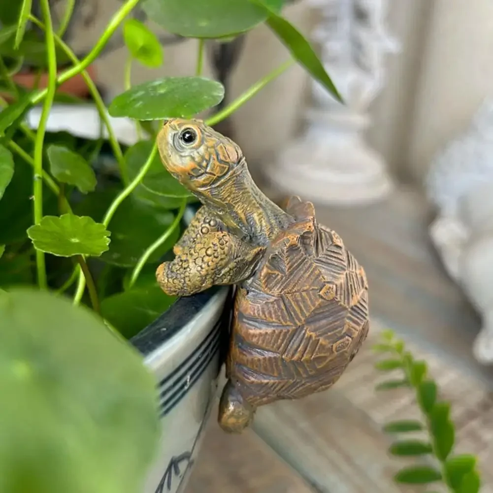 Fishing Turtle Hanging Turtle  - Aquarium Plants のレビューと価格