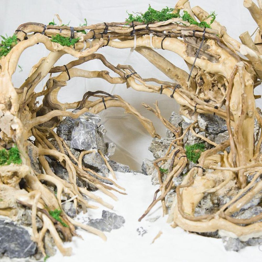 1 Pcs Wood Reptile Fish Tank O - Aquarium Planted Substrate のレビューと価格