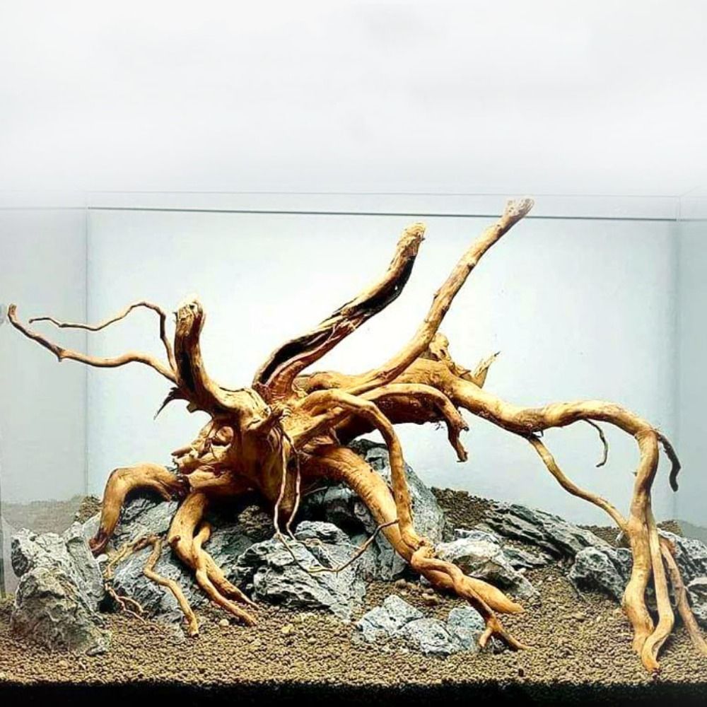 Natural Tree Trunk Aquarium De - Aquarium Planted Substrate のレビューと価格