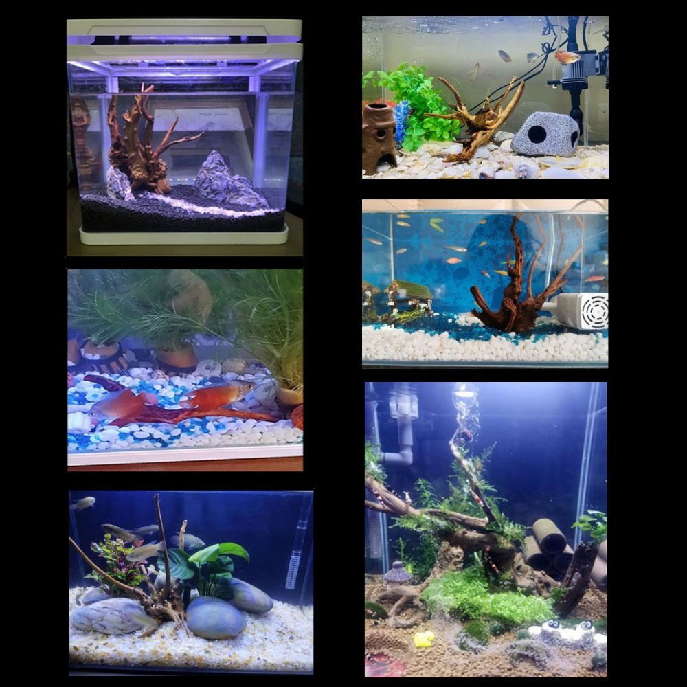Natural Tree Trunk Aquarium De - Aquarium Planted Substrate のレビューと価格