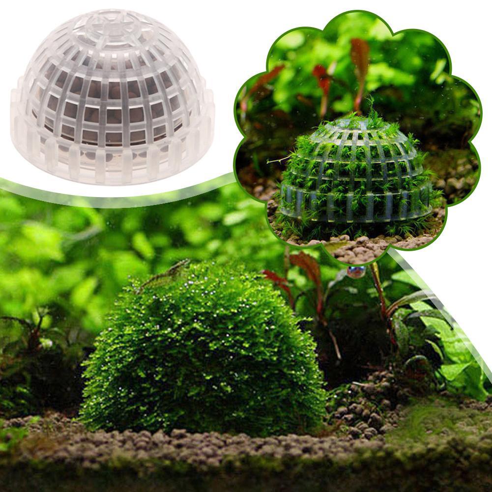 1/2/3/4/5PCS Aquarium Decorati - Aquarium Planted Tank Filter のレビューと価格