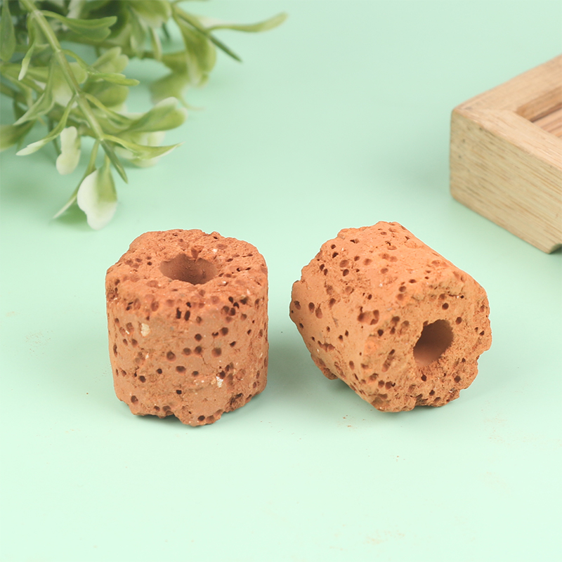 10Pcs Mini Aquatic Plant Ring  - Aquarium Planted Set Up のレビューと価格