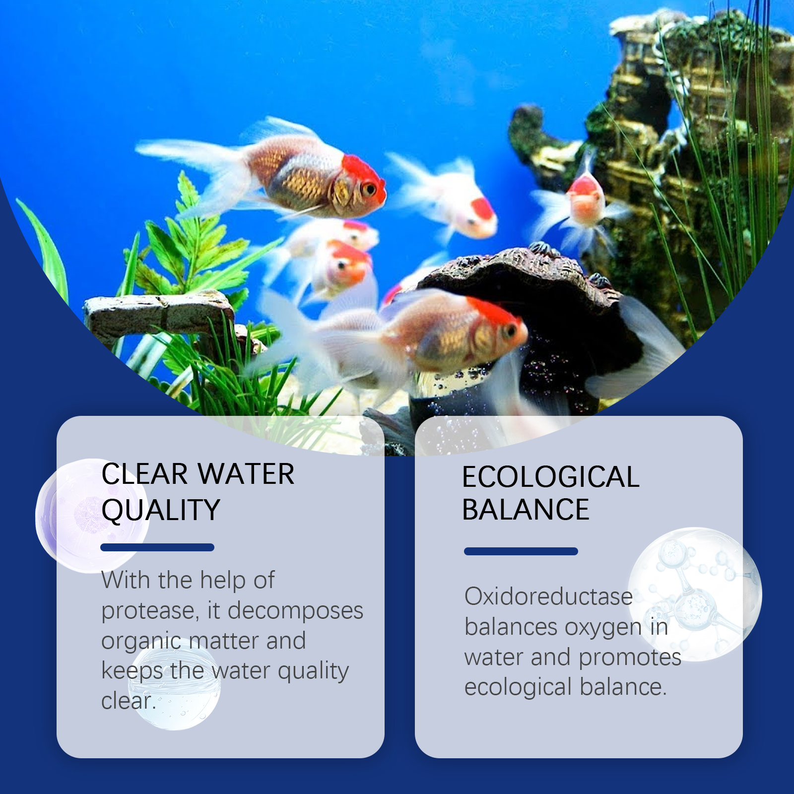 1pc 100ml Aquarium Water Clari - Planted Aquarium Algae のレビューと価格