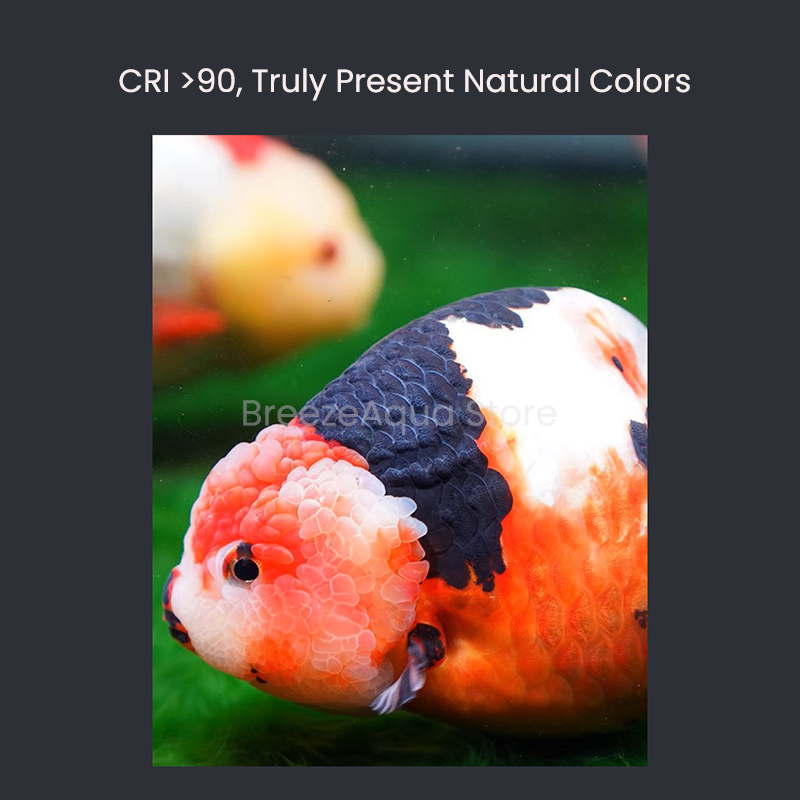 MAYIN Super Colour 100W Freshw - Planted Aquarium Algae のレビューと価格
