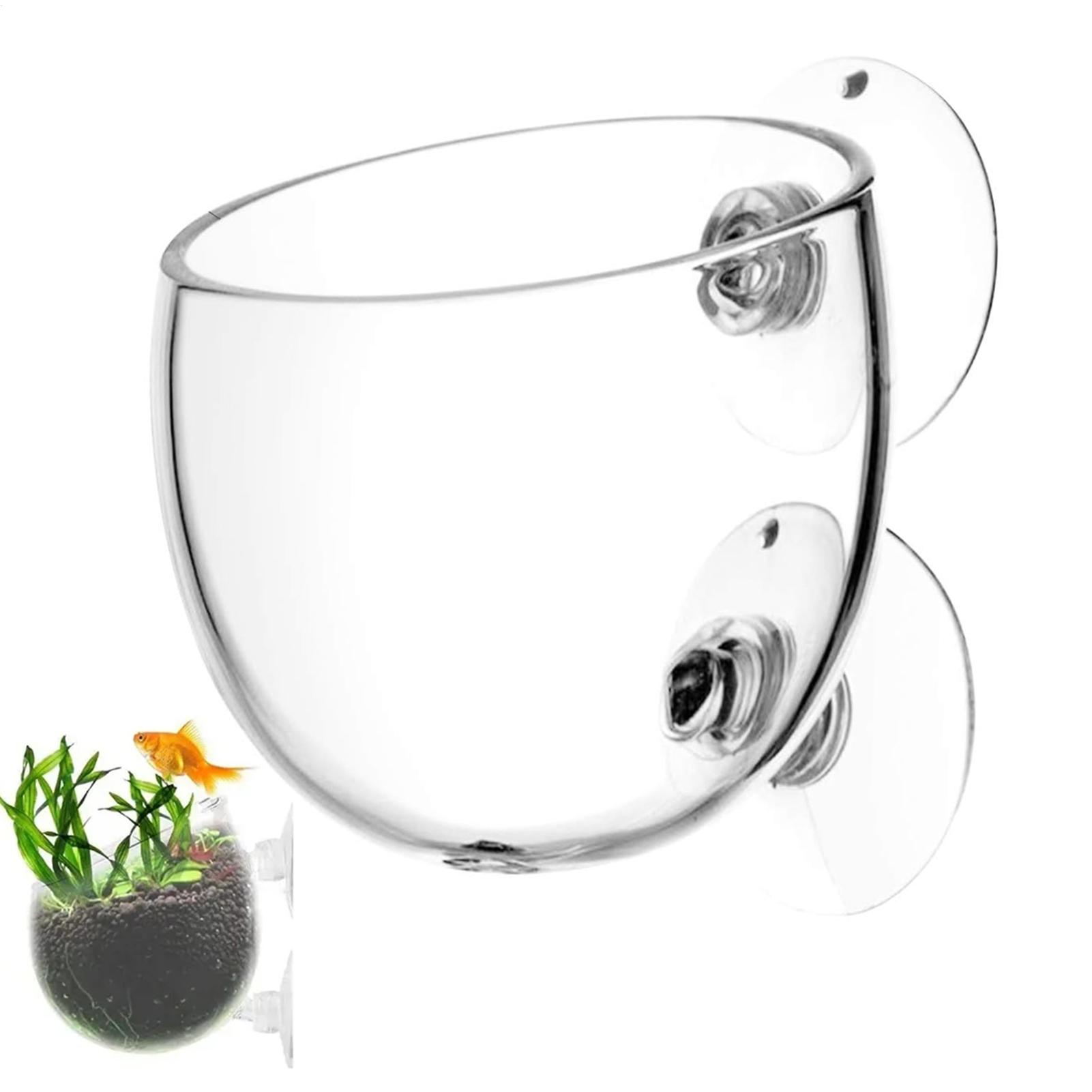 Aquarium Glass Plant Pot with  - Aquarium Plant Vine のレビューと価格