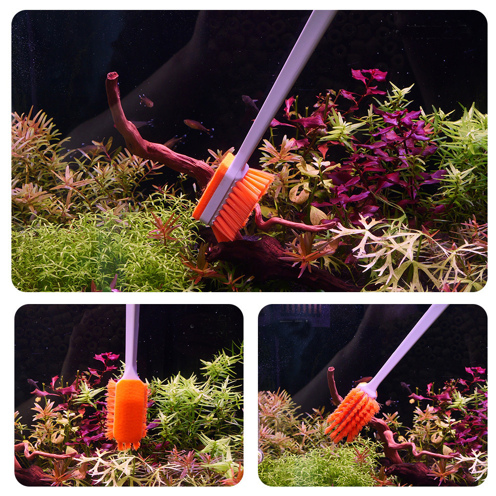 QANVEE Aquarium MK3 Fish Tank  - Planted Aquarium Algae のレビューと価格