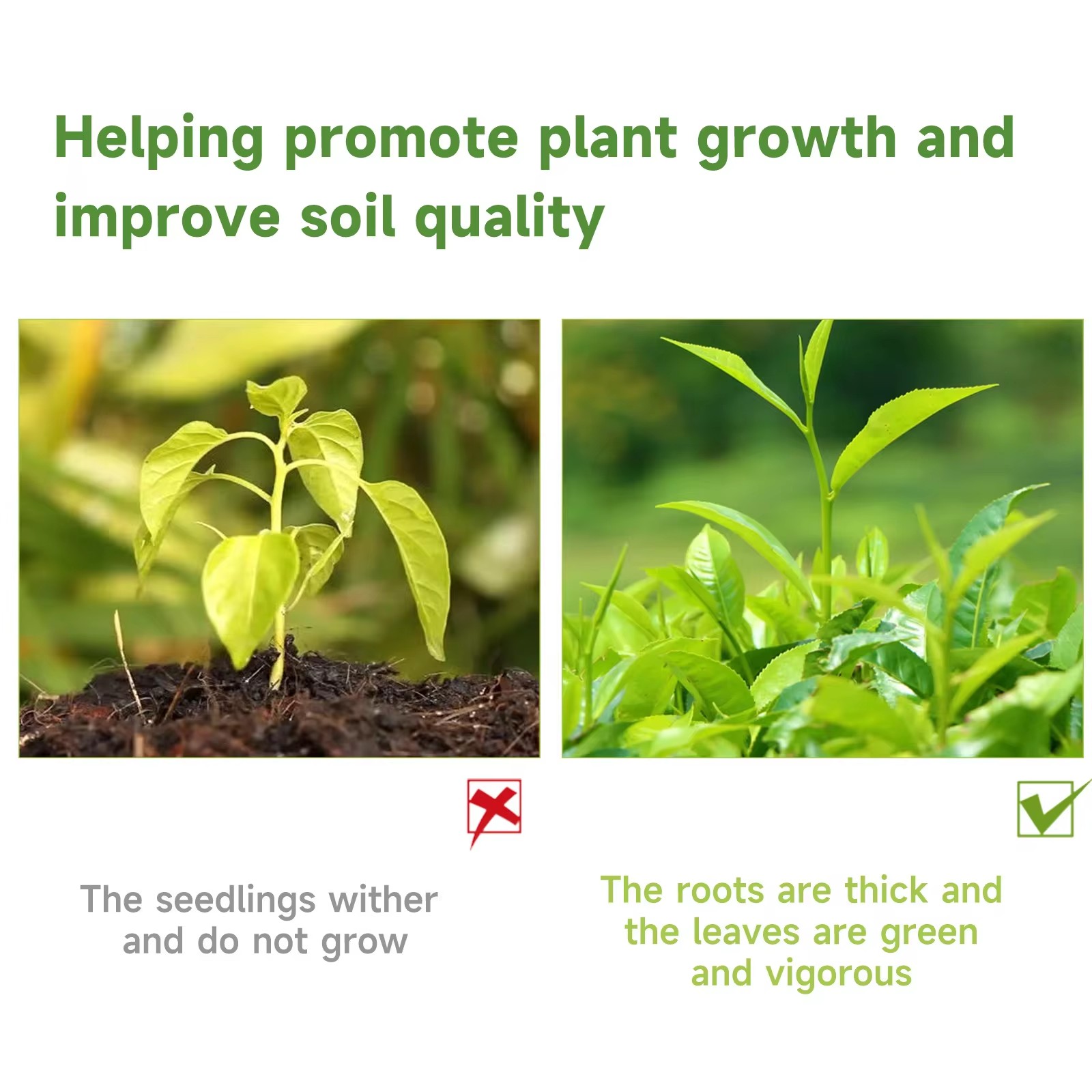 MOONSPRY 100ml Organic Potted  - Liquid Fertilizer All In のレビューと価格