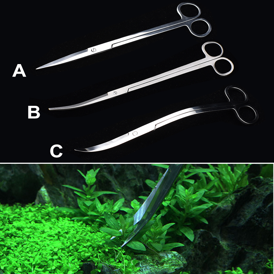 25cm Stainless Steel Aquarium  - Planted Aquarium Algae のレビューと価格