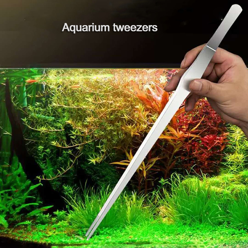 27cm 38cm Stainless Steel Curv - Planted Aquarium Products のレビューと価格
