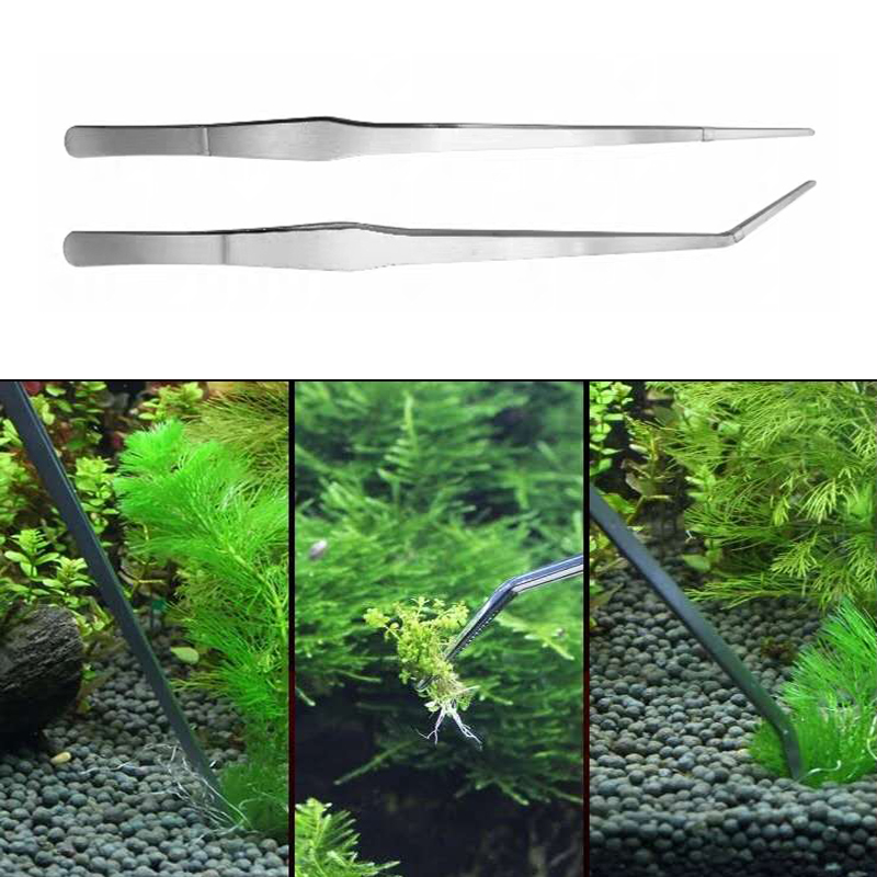 27cm 38cm Stainless Steel Curv - Planted Aquarium Products のレビューと価格