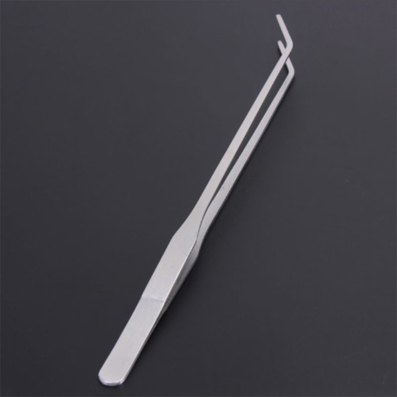 27cm 38cm Stainless Steel Curv - Planted Aquarium Products のレビューと価格