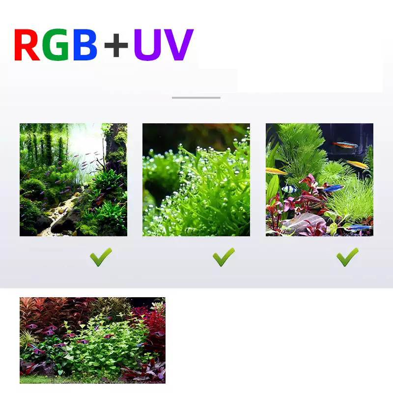 Led Lighting 60cm 80cm 90cm RG - Planted Aquarium Pendant Light のレビューと価格