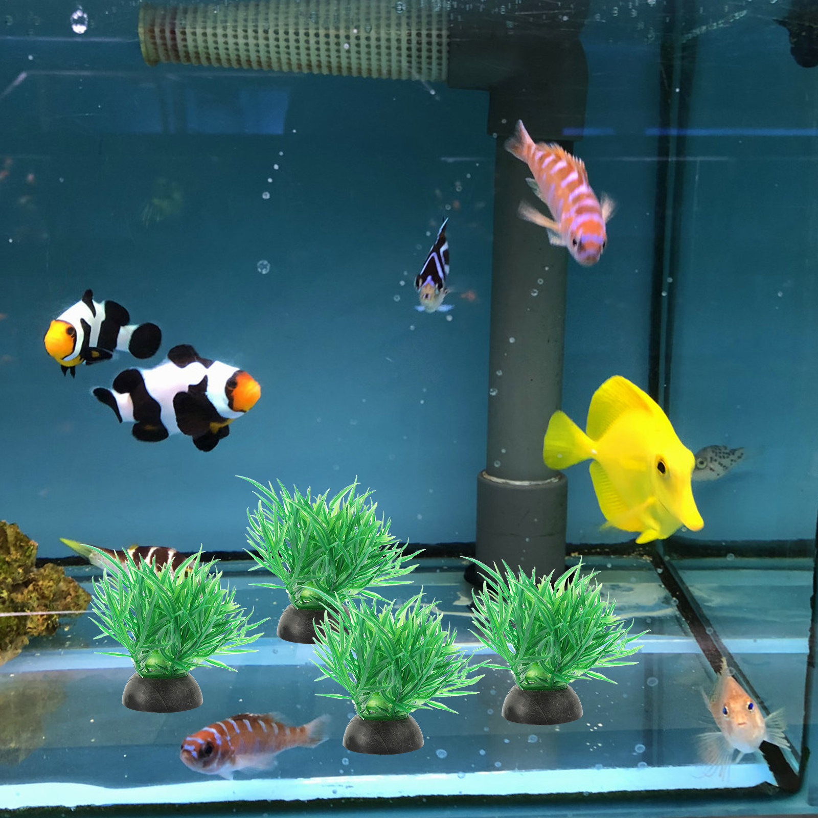 20Pcs Tall Plastic Aquarium Pl - Planted Aquarium Models のレビューと価格